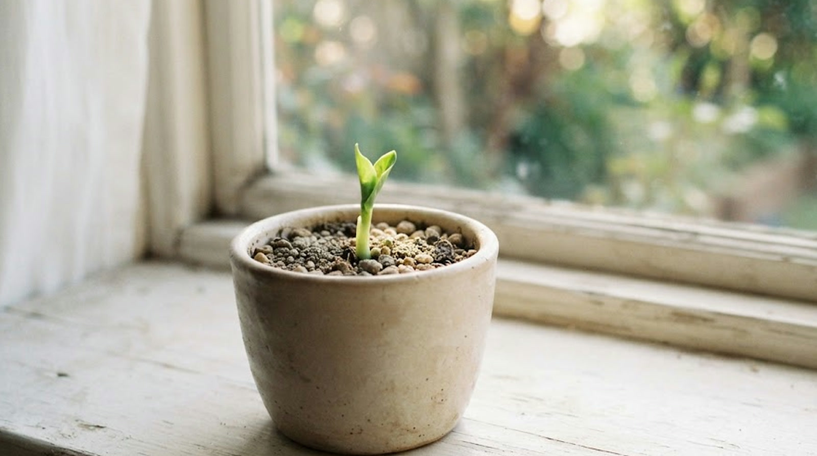 Quotes about change