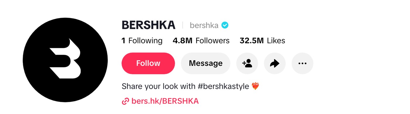 tiktok bios