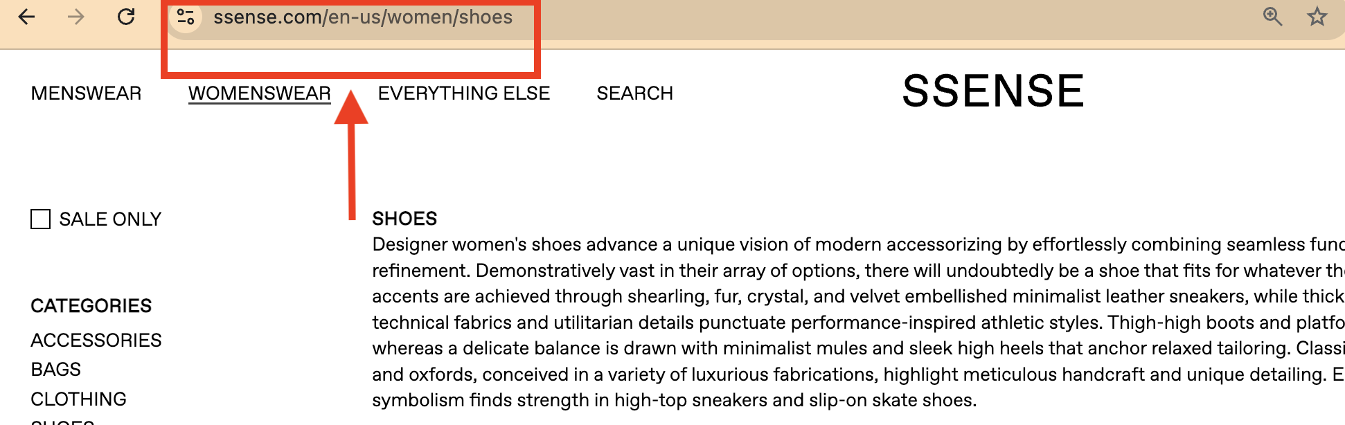 shopify seo